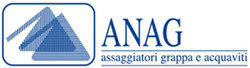 logo anag